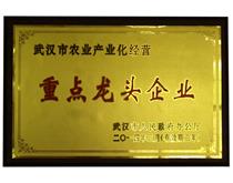 2014.3重点龙头企业